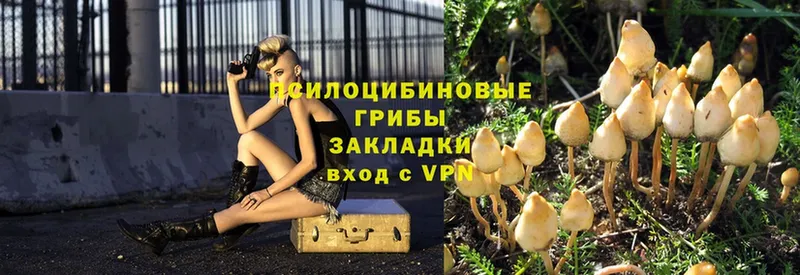 Галлюциногенные грибы Magic Shrooms  купить закладку  Тара 